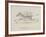 Monkeys Riding a Zebra, Nonsense Botany Animals and Other Poems Written and Drawn by Edward Lear-Edward Lear-Framed Giclee Print