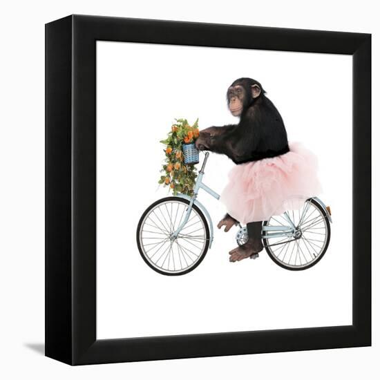Monkeys Riding Bikes #1-J Hovenstine Studios-Framed Premier Image Canvas