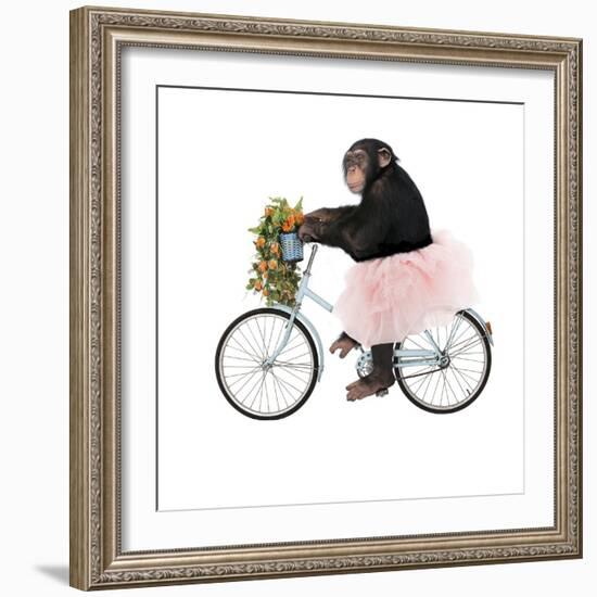 Monkeys Riding Bikes #1-J Hovenstine Studios-Framed Giclee Print