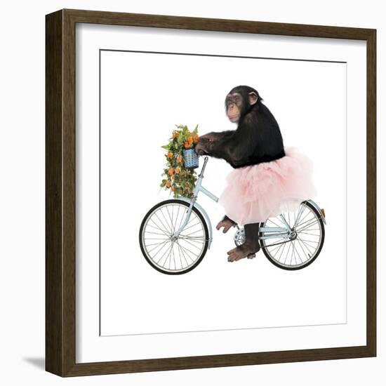 Monkeys Riding Bikes #1-J Hovenstine Studios-Framed Giclee Print