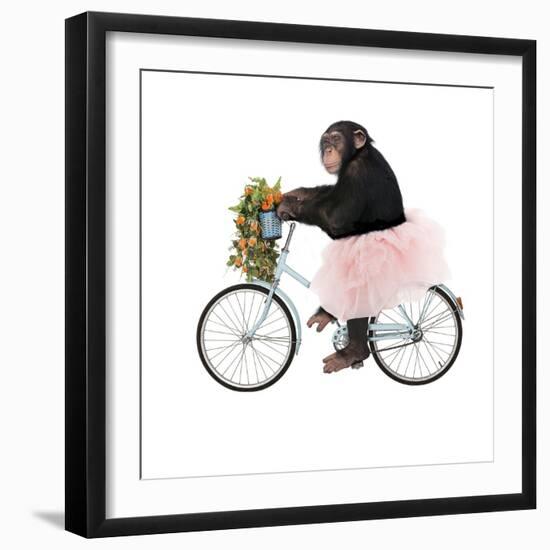 Monkeys Riding Bikes #1-J Hovenstine Studios-Framed Giclee Print