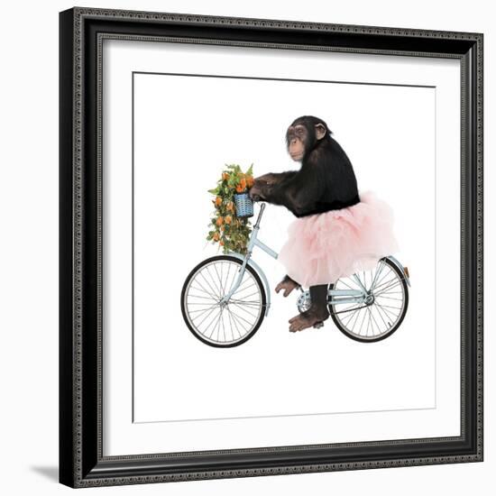 Monkeys Riding Bikes #1-J Hovenstine Studios-Framed Giclee Print