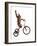 Monkeys Riding Bikes #2-J Hovenstine Studios-Framed Giclee Print