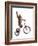 Monkeys Riding Bikes #2-J Hovenstine Studios-Framed Giclee Print