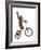 Monkeys Riding Bikes #2-J Hovenstine Studios-Framed Giclee Print