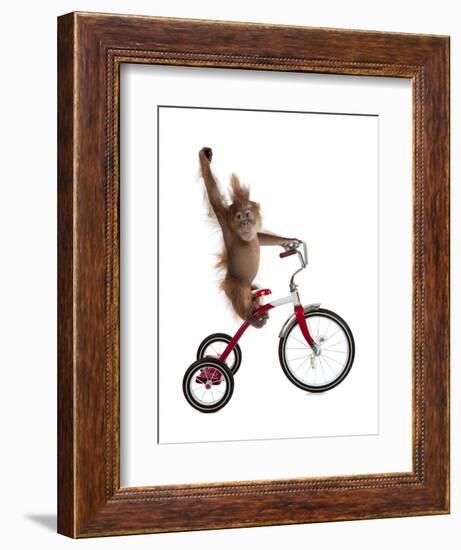 Monkeys Riding Bikes #2-J Hovenstine Studios-Framed Premium Giclee Print