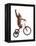 Monkeys Riding Bikes #2-J Hovenstine Studios-Framed Premier Image Canvas