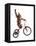 Monkeys Riding Bikes #2-J Hovenstine Studios-Framed Premier Image Canvas