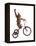 Monkeys Riding Bikes #2-J Hovenstine Studios-Framed Premier Image Canvas