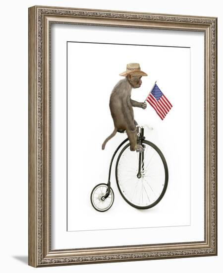 Monkeys Riding Bikes #3-J Hovenstine Studios-Framed Giclee Print