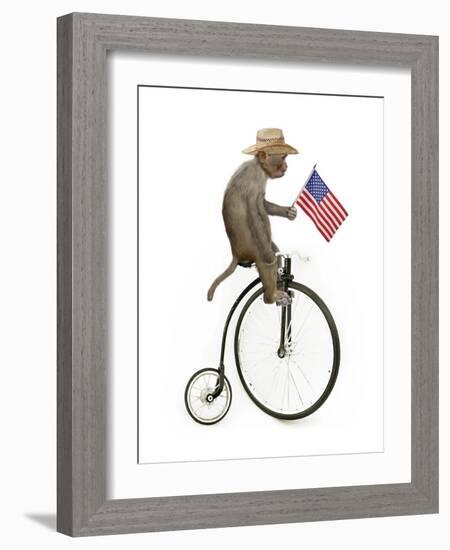 Monkeys Riding Bikes #3-J Hovenstine Studios-Framed Giclee Print