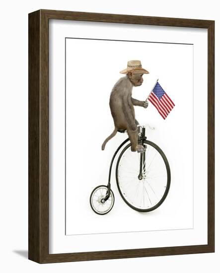 Monkeys Riding Bikes #3-J Hovenstine Studios-Framed Giclee Print