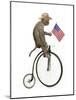 Monkeys Riding Bikes #3-J Hovenstine Studios-Mounted Giclee Print