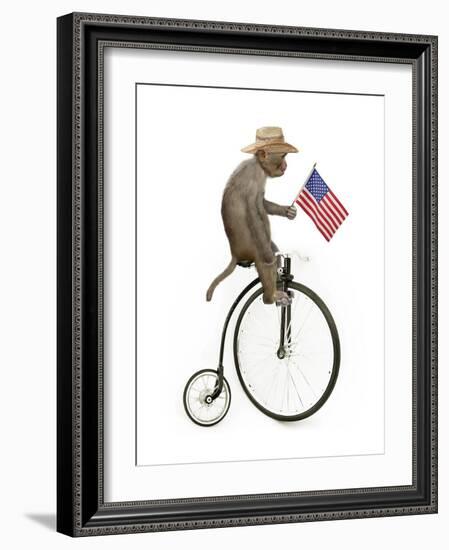 Monkeys Riding Bikes #3-J Hovenstine Studios-Framed Giclee Print