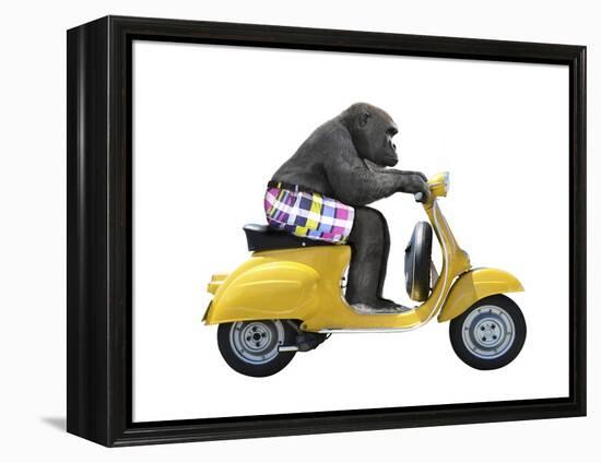 Monkeys Riding Bikes #4-J Hovenstine Studios-Framed Premier Image Canvas