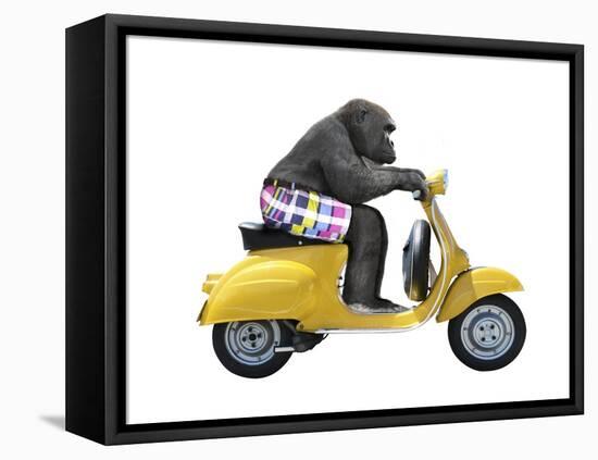 Monkeys Riding Bikes #4-J Hovenstine Studios-Framed Premier Image Canvas