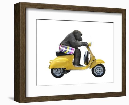 Monkeys Riding Bikes #4-J Hovenstine Studios-Framed Giclee Print