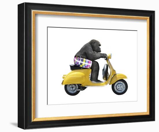 Monkeys Riding Bikes #4-J Hovenstine Studios-Framed Giclee Print