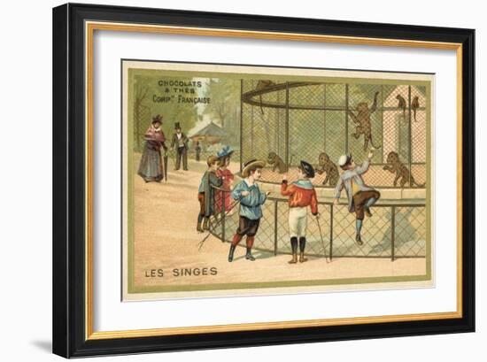 Monkeys-null-Framed Giclee Print