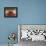 Monks at Tibetan Buddhist Monastery, Kathmandu, Nepal-Demetrio Carrasco-Framed Premier Image Canvas displayed on a wall