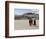 Monks Carrying Umbrellas to Shield Against the Sun, in Front of the Potala Palace, Tibet-Don Smith-Framed Photographic Print