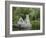 Monks Fishing House, Cong Abbey, County Mayo, Connacht, Republic of Ireland-Gary Cook-Framed Photographic Print