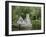 Monks Fishing House, Cong Abbey, County Mayo, Connacht, Republic of Ireland-Gary Cook-Framed Photographic Print