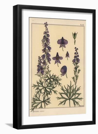 Monks Hood Botanical Study, 1897 (Lithograph)-Eugene Grasset-Framed Giclee Print