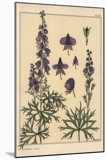 Monks Hood Botanical Study, 1897 (Lithograph)-Eugene Grasset-Mounted Giclee Print