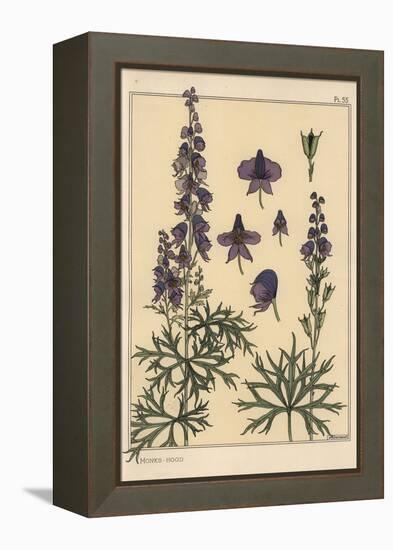 Monks Hood Botanical Study, 1897 (Lithograph)-Eugene Grasset-Framed Premier Image Canvas