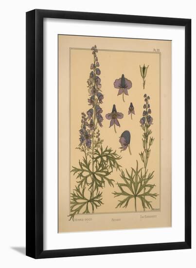 Monks Hood-null-Framed Giclee Print