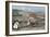 Monks Ploughing the Land with Oxen. Germany.-Tarker-Framed Giclee Print