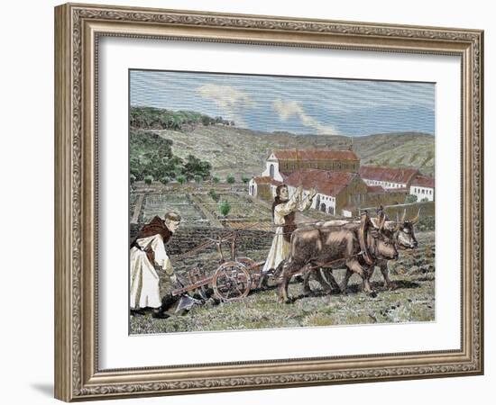 Monks Plowing the Land with Oxen, Germany (1872)-Prisma Archivo-Framed Photographic Print