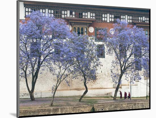 Monks, Punakha Dzong Palance, Bhutan-Dennis Kirkland-Mounted Photographic Print