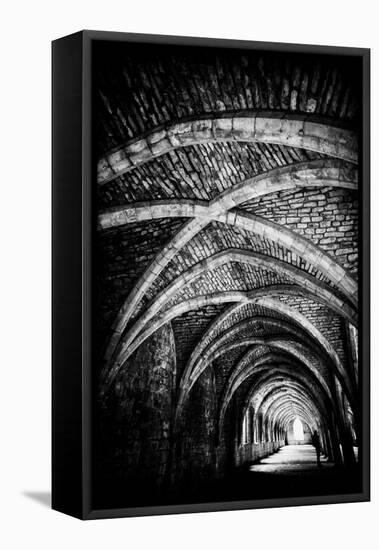 Monks Remains-Rory Garforth-Framed Premier Image Canvas