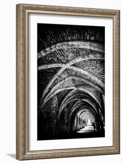 Monks Remains-Rory Garforth-Framed Photographic Print