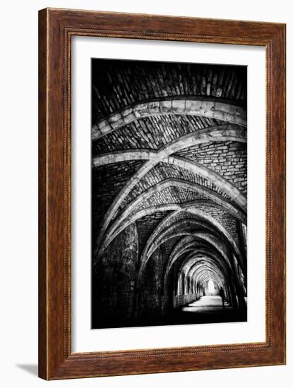 Monks Remains-Rory Garforth-Framed Photographic Print