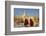 Monks walk around Shwedagon Pagoda, Yangon (Rangoon), Myanmar (Burma), Asia-Alex Treadway-Framed Photographic Print