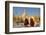 Monks walk around Shwedagon Pagoda, Yangon (Rangoon), Myanmar (Burma), Asia-Alex Treadway-Framed Photographic Print