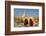 Monks walk around Shwedagon Pagoda, Yangon (Rangoon), Myanmar (Burma), Asia-Alex Treadway-Framed Photographic Print