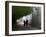 Monks Walk in Sera Temple, Lhasa, Tibet, China-Keren Su-Framed Photographic Print