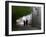 Monks Walk in Sera Temple, Lhasa, Tibet, China-Keren Su-Framed Photographic Print