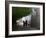 Monks Walk in Sera Temple, Lhasa, Tibet, China-Keren Su-Framed Photographic Print