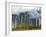 Monks with Praying Flags, Phobjikha Valley, Gangtey Village, Bhutan-Keren Su-Framed Photographic Print