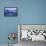 Mono Lake Dawn-Lance Kuehne-Framed Premier Image Canvas displayed on a wall