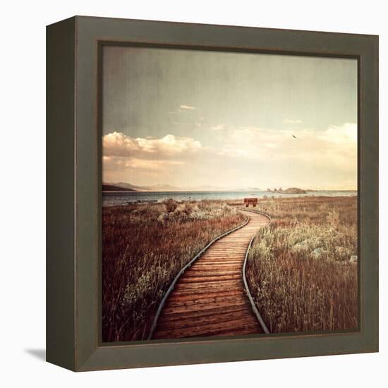 Mono Lake Pause-Philippe Sainte-Laudy-Framed Premier Image Canvas