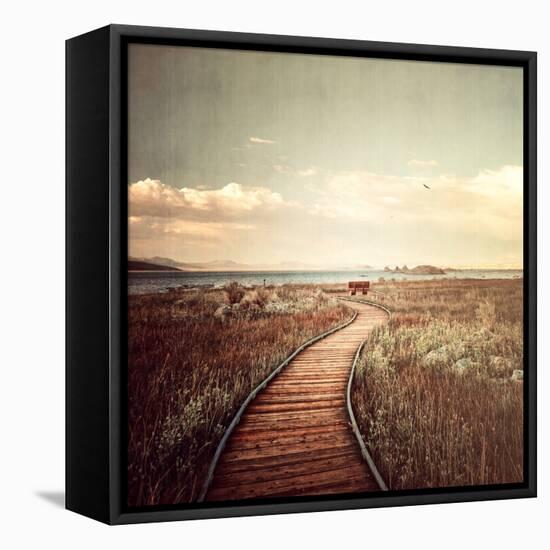 Mono Lake Pause-Philippe Sainte-Laudy-Framed Premier Image Canvas