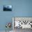 Mono Lake Sunrise-Lance Kuehne-Framed Premier Image Canvas displayed on a wall