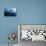 Mono Lake Sunrise-Lance Kuehne-Photographic Print displayed on a wall