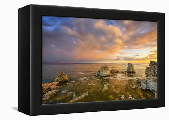 Mono Morning Mood, Mono Lake, California-Vincent James-Framed Premier Image Canvas